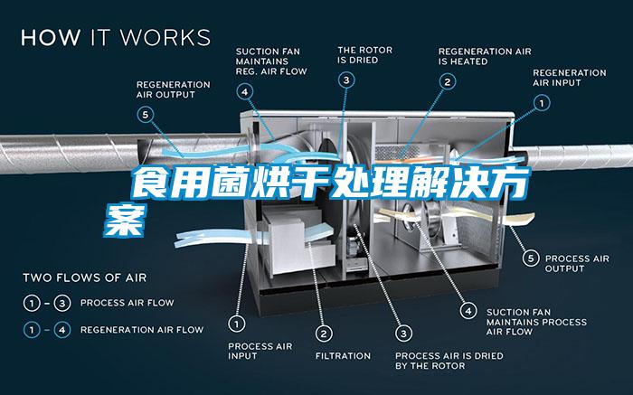 食用菌烘干處理解決方案