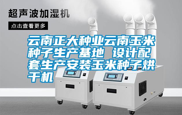 云南正大種業云南玉米種子生產基地 設計配套生產安裝玉米種子烘干機