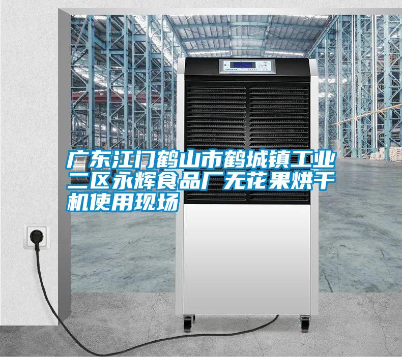 廣東江門鶴山市鶴城鎮工業二區永輝食品廠無花果烘干機使用現場