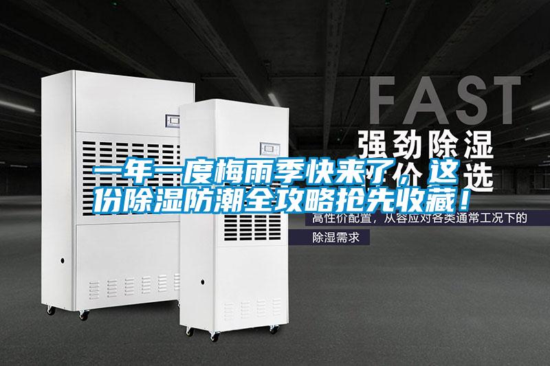 一年一度梅雨季快來了，這份除濕防潮全攻略搶先收藏！