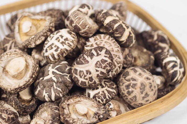 干貨倉庫怎么利用除濕機保持干爽? 干貨倉庫怎么利用除濕機保持干爽?