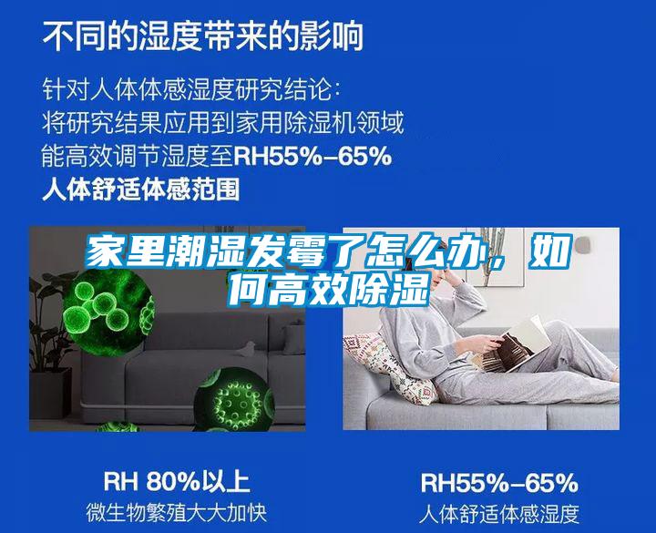 家里潮濕發霉了怎么辦,如何高效除濕