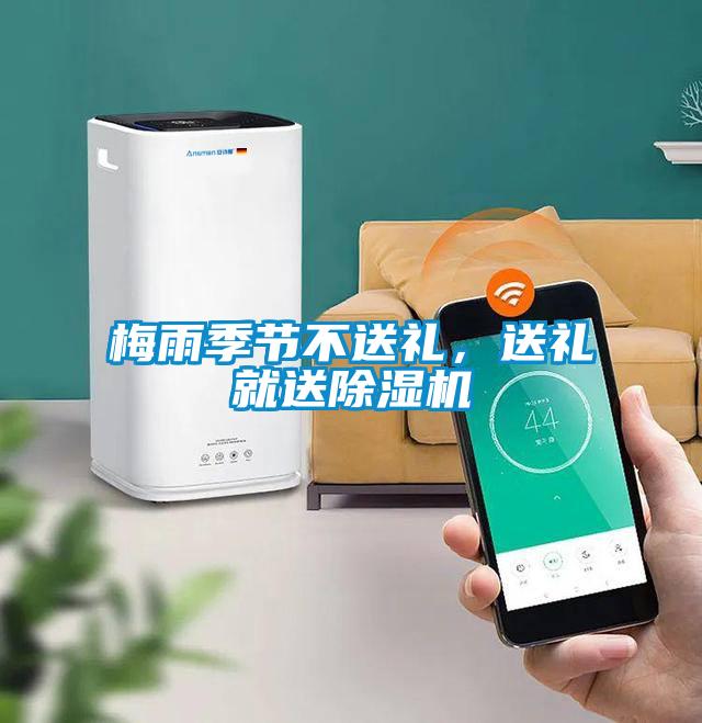 梅雨季節不送禮，送禮就送除濕機