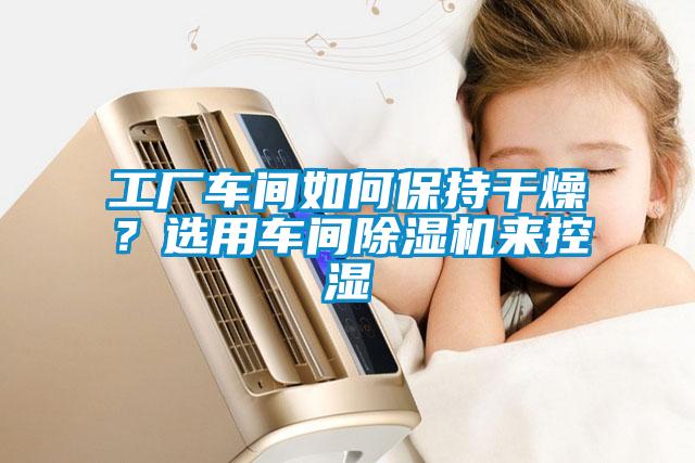 工廠車間如何保持干燥?選用車間除濕機來控濕