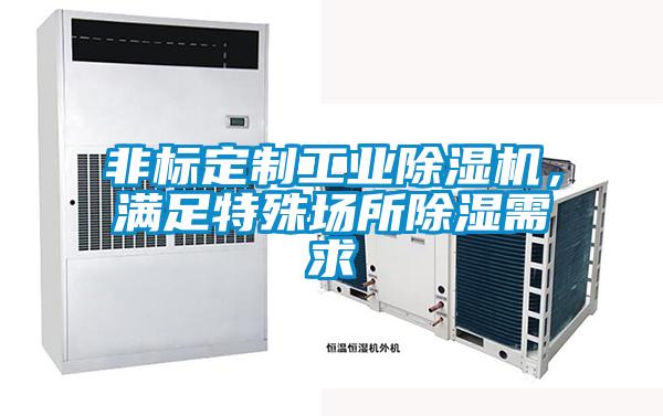 非標(biāo)定制工業(yè)除濕機,滿足特殊場所除濕需求