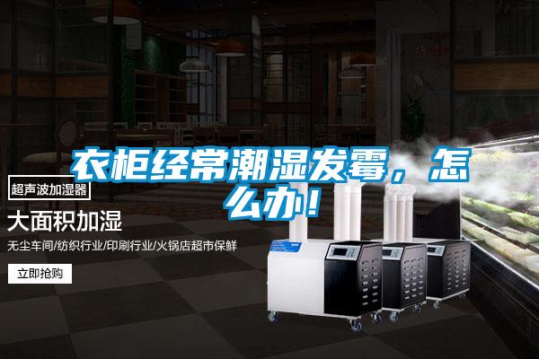 衣柜經(jīng)常潮濕發(fā)霉，怎么辦！
