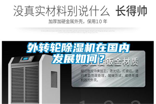 外轉輪除濕機在國內發展如何?