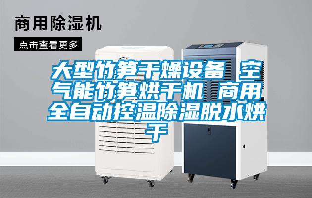 大型竹筍干燥設備 空氣能竹筍烘干機 商用全自動控溫除濕脫水烘干