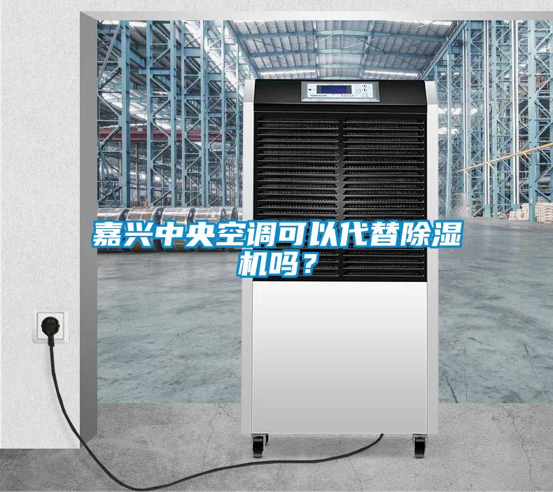 嘉興中央空調可以代替除濕機嗎?