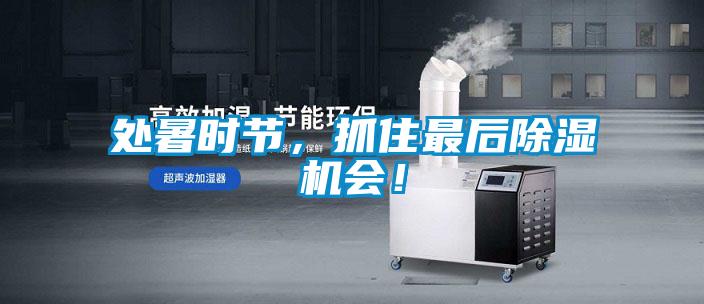 處暑時節，抓住最后除濕機會！
