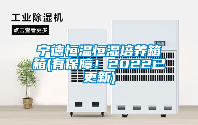 寧德恒溫恒濕培養箱箱(有保障!2022已更新)