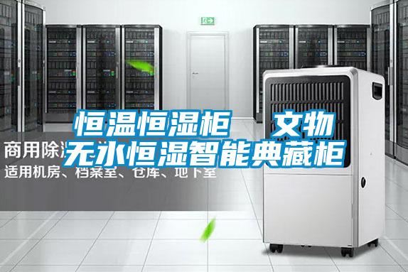 恒溫恒濕柜 文物無水恒濕智能典藏柜