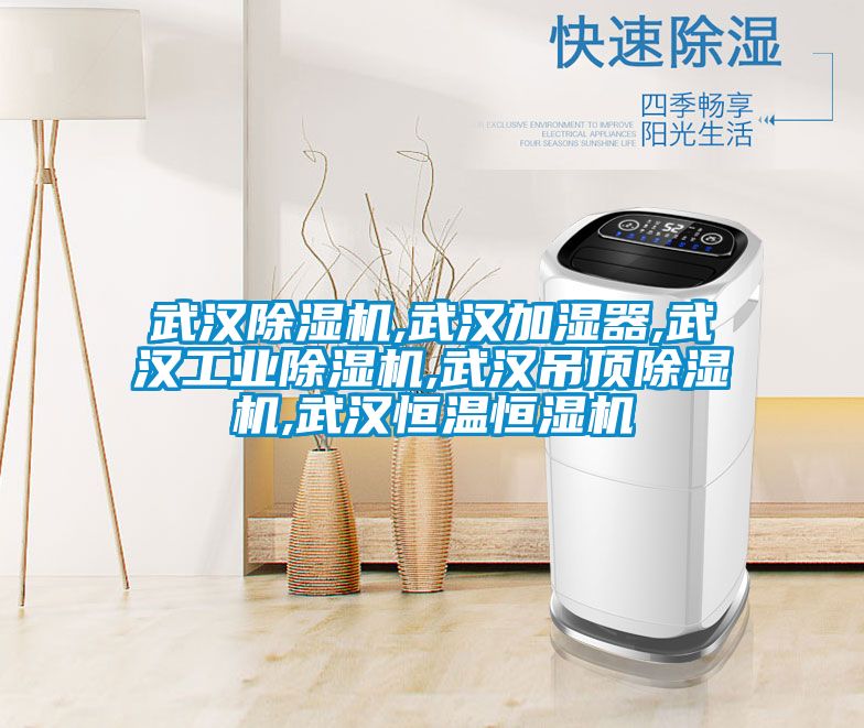 武漢除濕機,武漢加濕器,武漢工業除濕機,武漢吊頂除濕機,武漢恒溫恒濕機