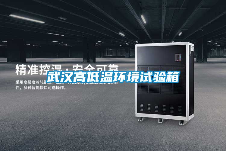 武漢高低溫環境試驗箱