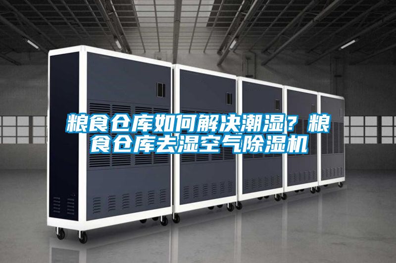 糧食倉庫如何解決潮濕？糧食倉庫去濕空氣除濕機(jī)