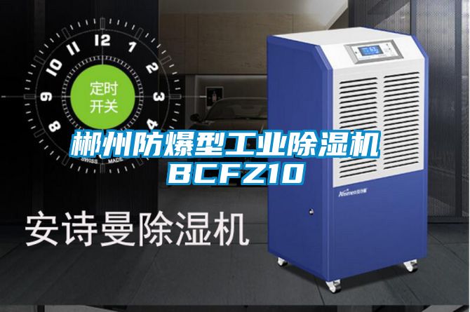 郴州防爆型工業除濕機 BCFZ10