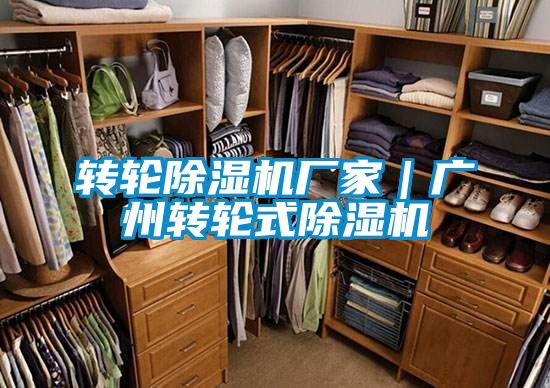 轉(zhuǎn)輪除濕機廠家｜廣州轉(zhuǎn)輪式除濕機