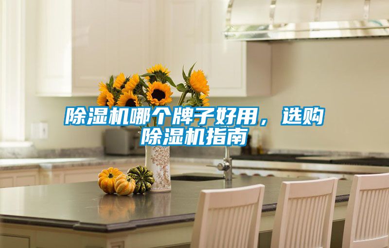 除濕機哪個牌子好用，選購除濕機指南