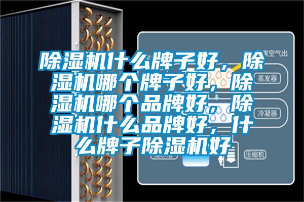 除濕機什么牌子好,除濕機哪個牌子好,除濕機哪個品牌好,除濕機什么品牌好,什么牌子除濕機好