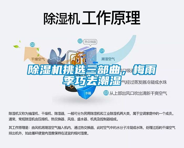 除濕機挑選三部曲,梅雨季巧去潮濕