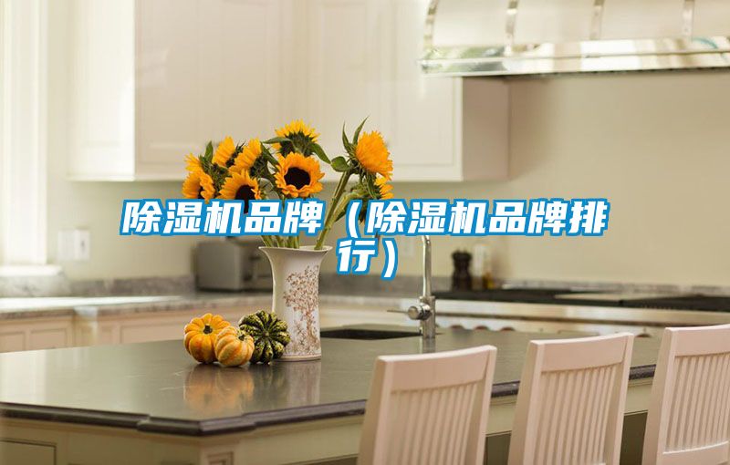 除濕機品牌(除濕機品牌排行)