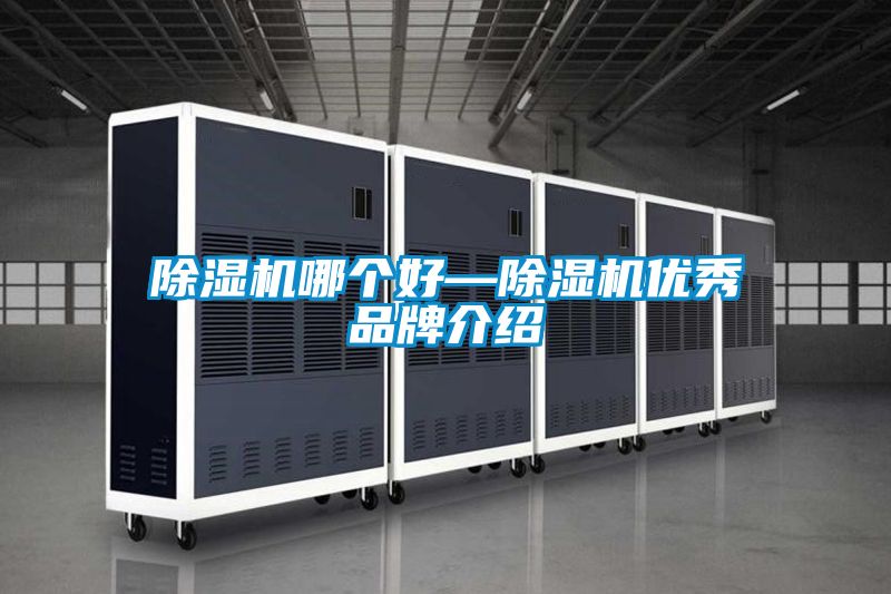 除濕機哪個好—除濕機優秀品牌介紹
