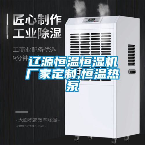 遼源恒溫恒濕機廠家定制,恒溫熱泵