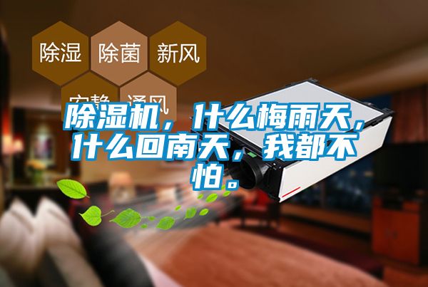 除濕機(jī),什么梅雨天,什么回南天,我都不怕。