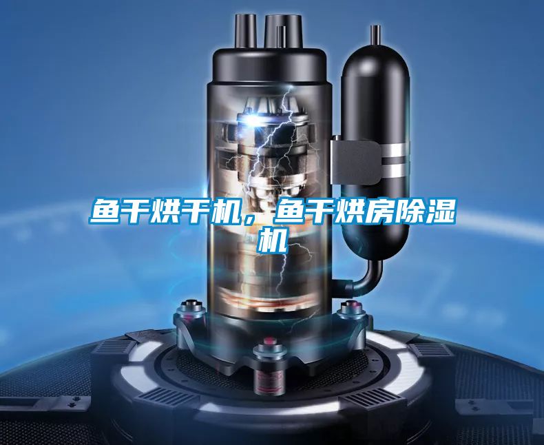 魚干烘干機,魚干烘房除濕機
