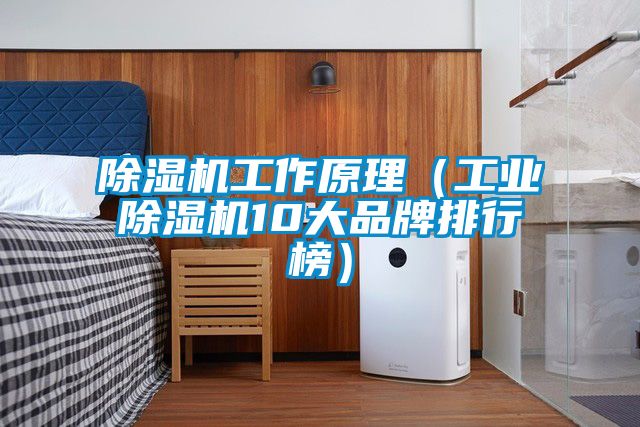 除濕機工作原理(工業除濕機10大品牌排行榜)