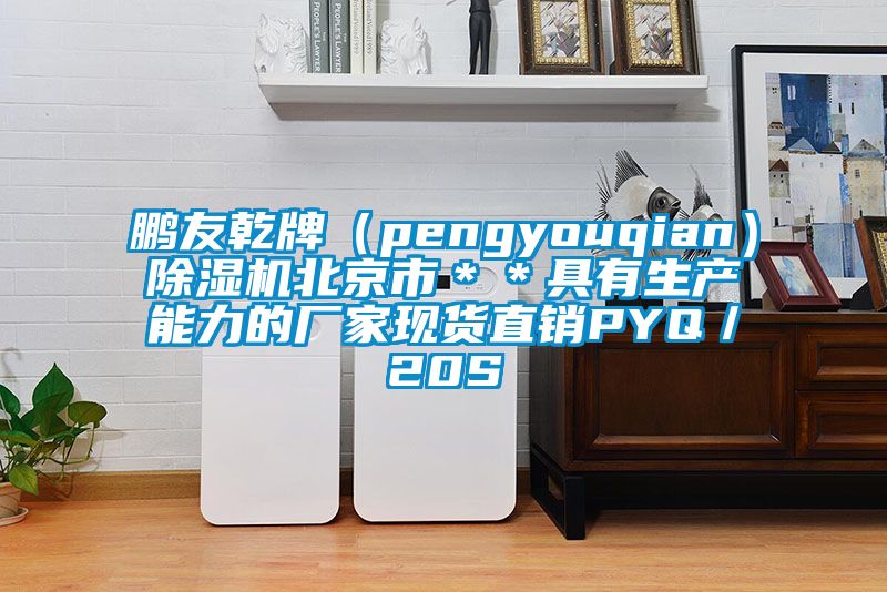 鵬友乾牌(pengyouqian)除濕機北京市**具有生產能力的廠家現貨直銷PYQ/20S