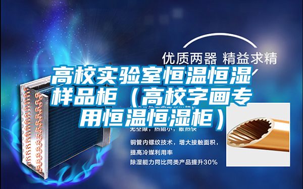 高校實(shí)驗(yàn)室恒溫恒濕樣品柜(高校字畫專用恒溫恒濕柜)