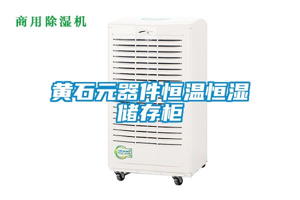 黃石元器件恒溫恒濕儲(chǔ)存柜