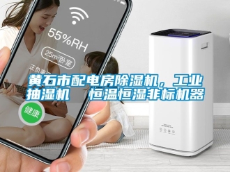 常見問題黃石市配電房除濕機，工業(yè)抽濕機  恒溫恒濕非標機器