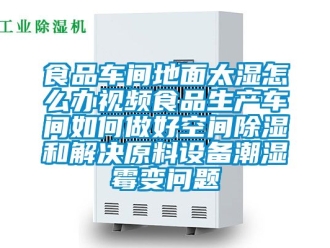 企業(yè)新聞食品車間地面太濕怎么辦視頻食品生產(chǎn)車間如何做好空間除濕和解決原料設備潮濕霉變問題