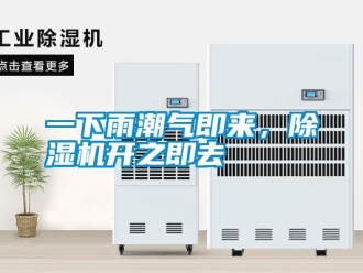 知識百科一下雨潮氣即來，除濕機開之即去
