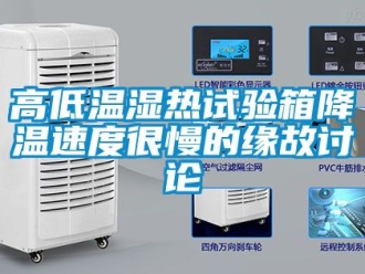 常見問題高低溫濕熱試驗(yàn)箱降溫速度很慢的緣故討論