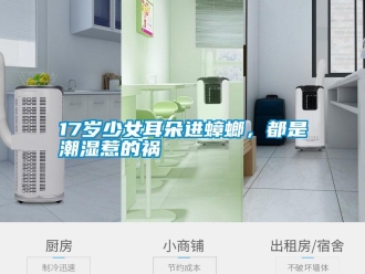 常見問題17歲少女耳朵進(jìn)蟑螂，都是潮濕惹的禍