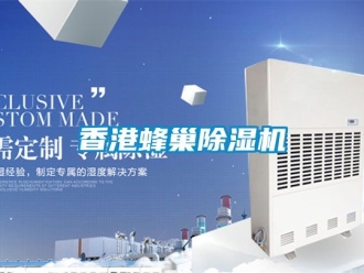 行業新聞香港蜂巢除濕機