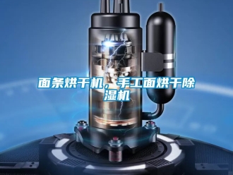 行業新聞面條烘干機，手工面烘干除濕機