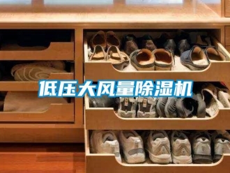 企業新聞低壓大風量除濕機
