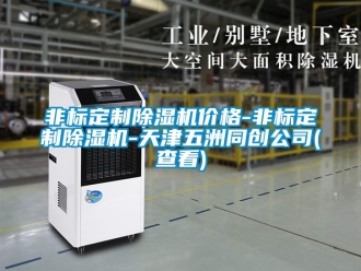 企業新聞非標定制除濕機價格-非標定制除濕機-天津五洲同創公司(查看)