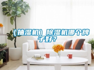 企業(yè)新聞（抽濕機）除濕機哪個牌子好？