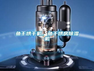 行業新聞魚干烘干機，魚干烘房除濕機