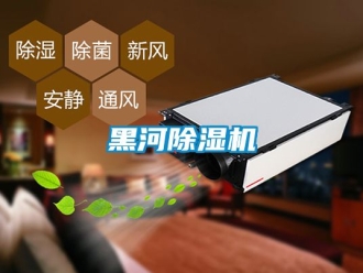 行業新聞黑河除濕機