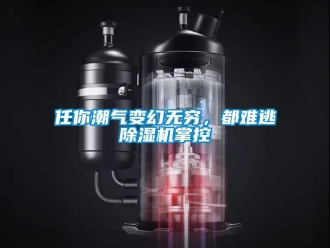 行業新聞任你潮氣變幻無窮，都難逃除濕機掌控