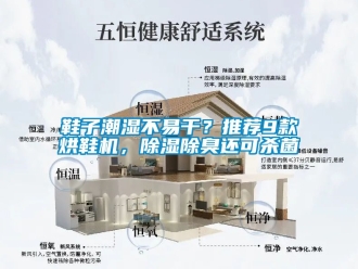 行業新聞鞋子潮濕不易干？推薦9款烘鞋機，除濕除臭還可殺菌