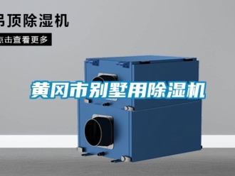 行業新聞黃岡市別墅用除濕機