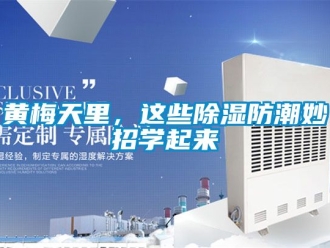 常見問題黃梅天里，這些除濕防潮妙招學(xué)起來