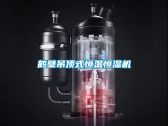 知識百科鶴壁吊頂式恒溫恒濕機
